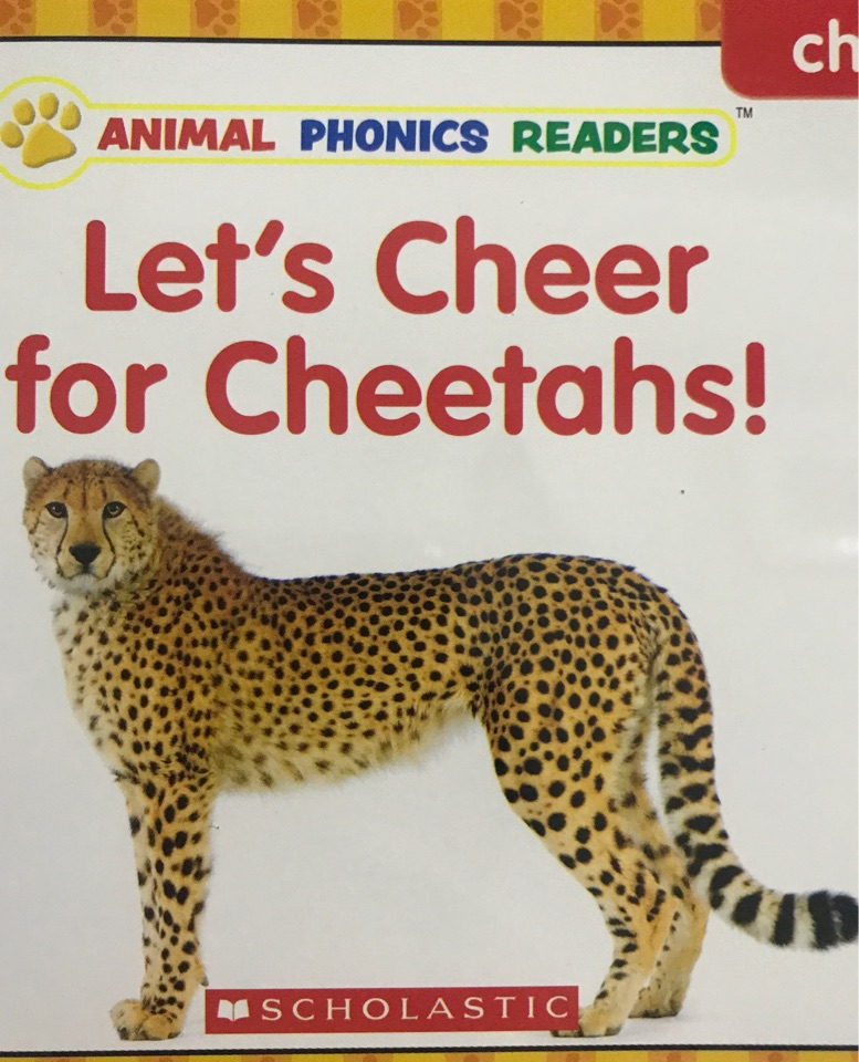 Let's cheer for cheetahs!