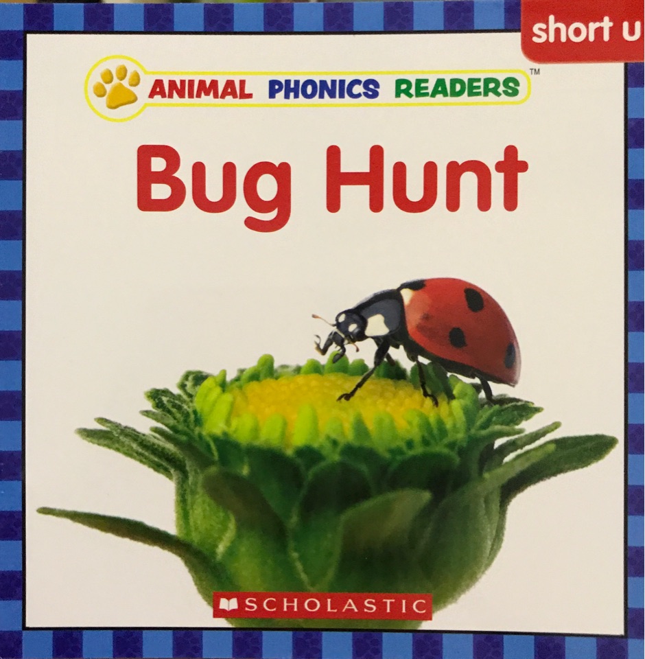 Bug hunt