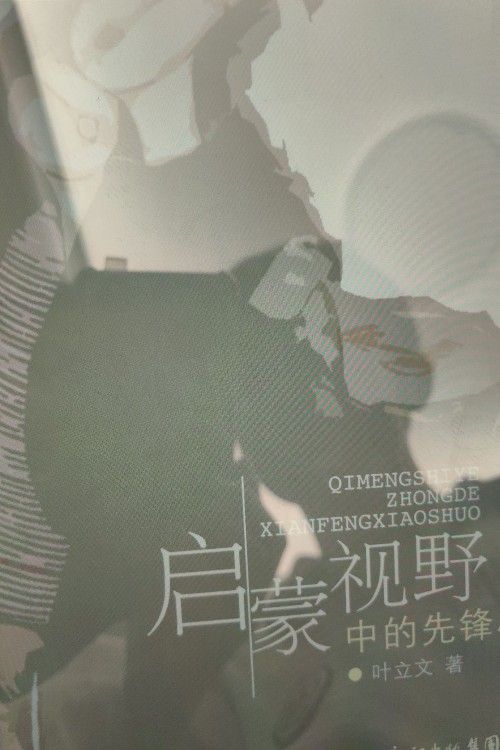 启蒙视野中的先锋小说