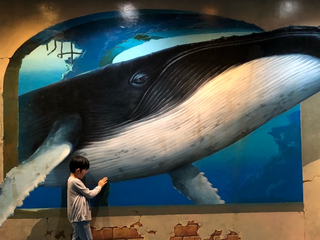 清迈游