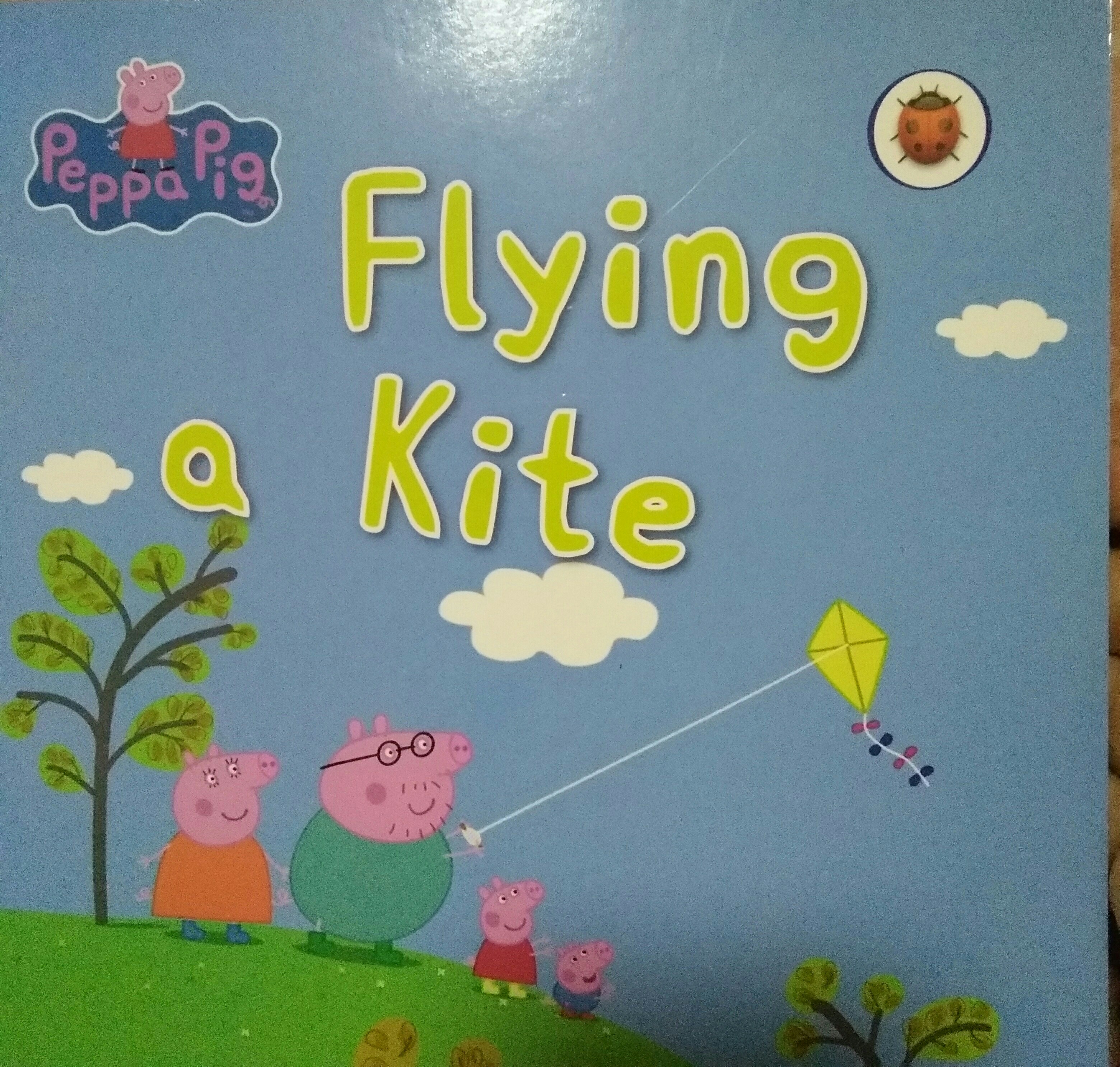 Flying a kite