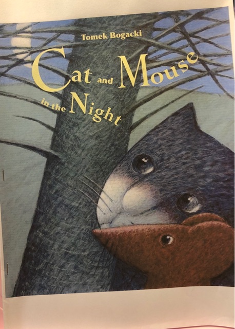 cat and mouse in the night