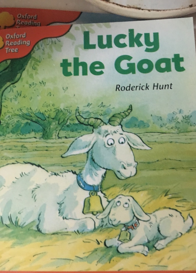 Lucky the goat