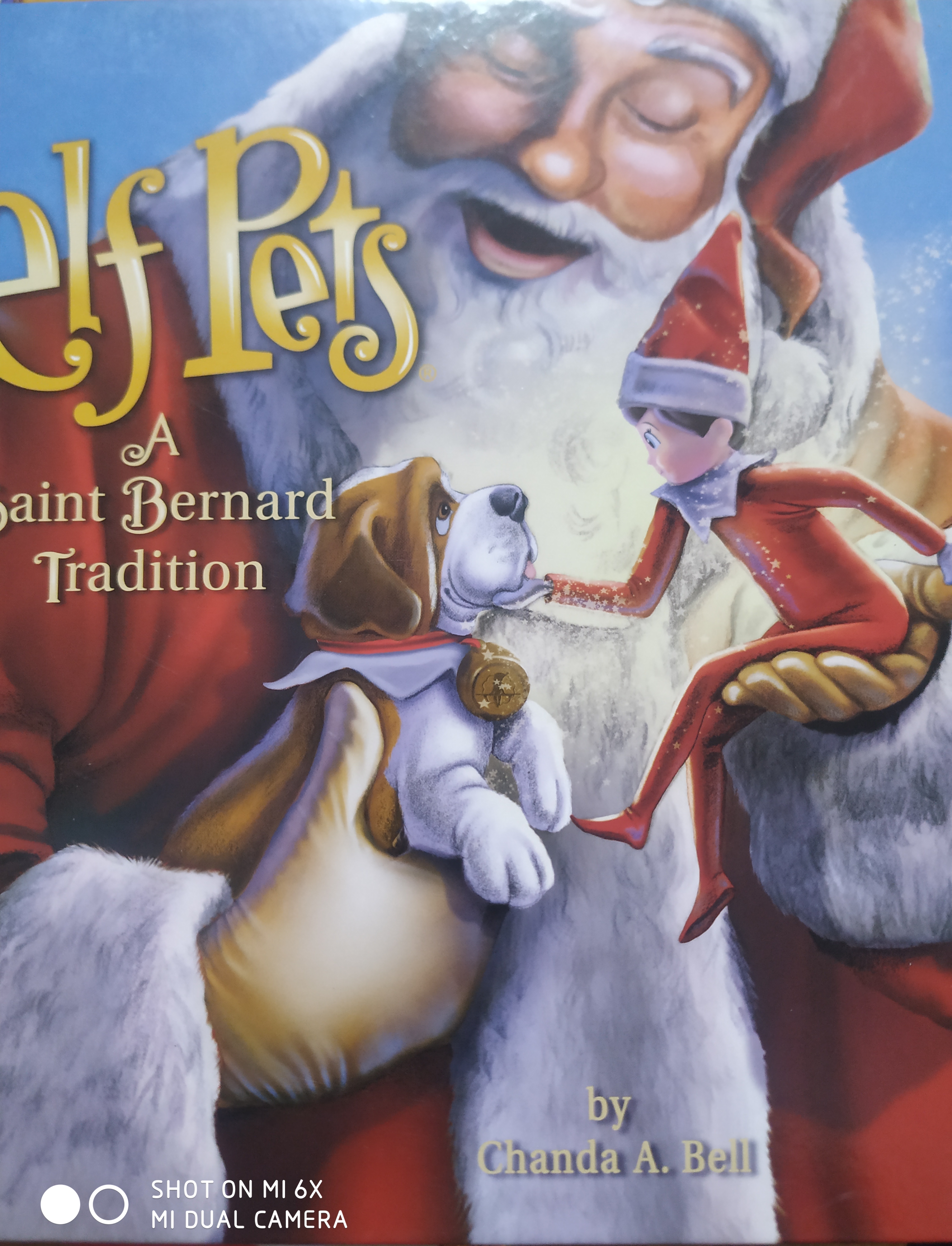 Elf pets saint bernard traditont