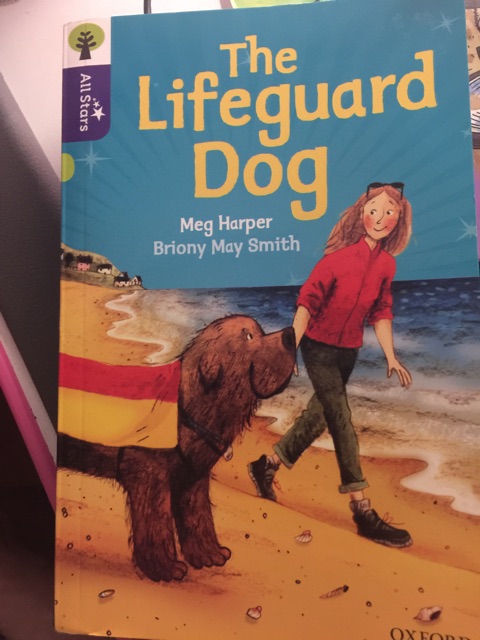 The lifeguard Dog