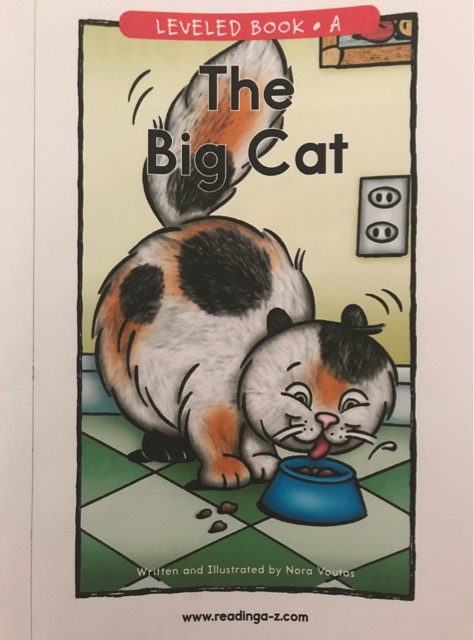 The Big Cat