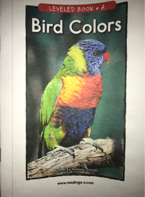 Bird Colors