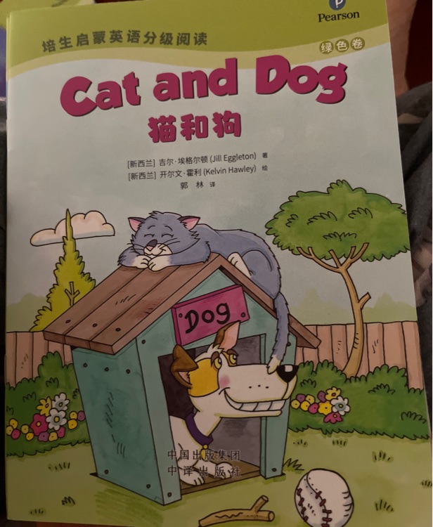 cat and dog