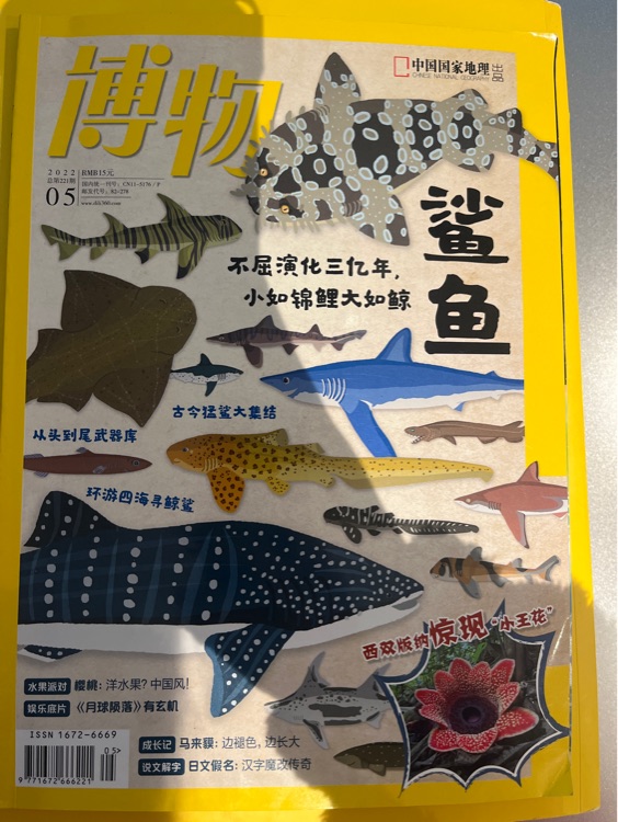 博物2022.5鯊魚