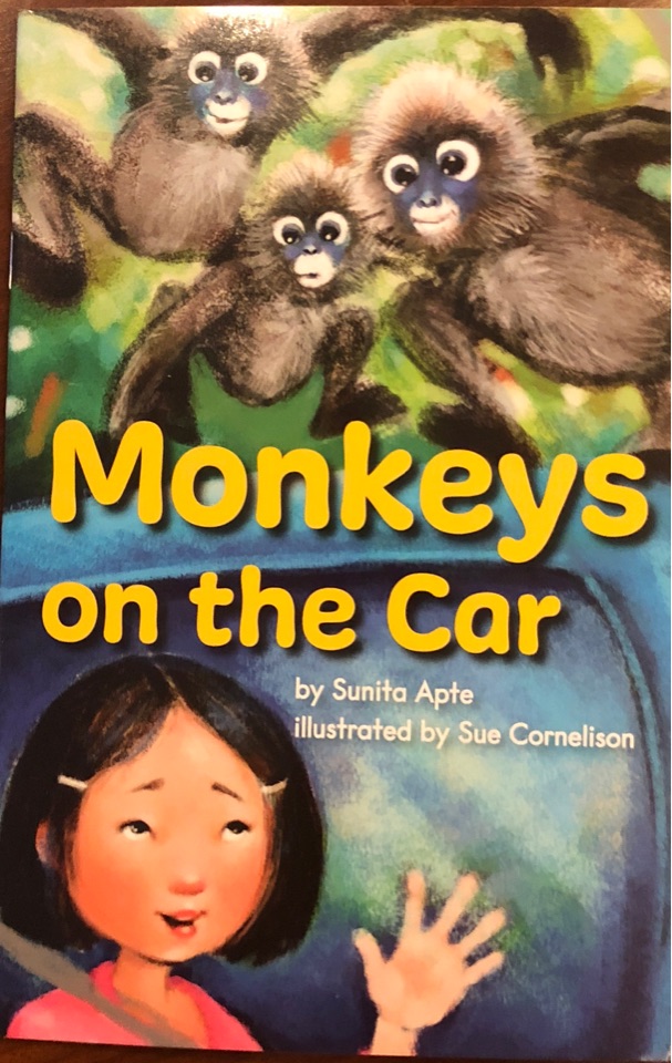 Monkeys on the car