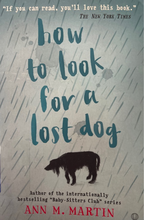 How to look for a lost dog