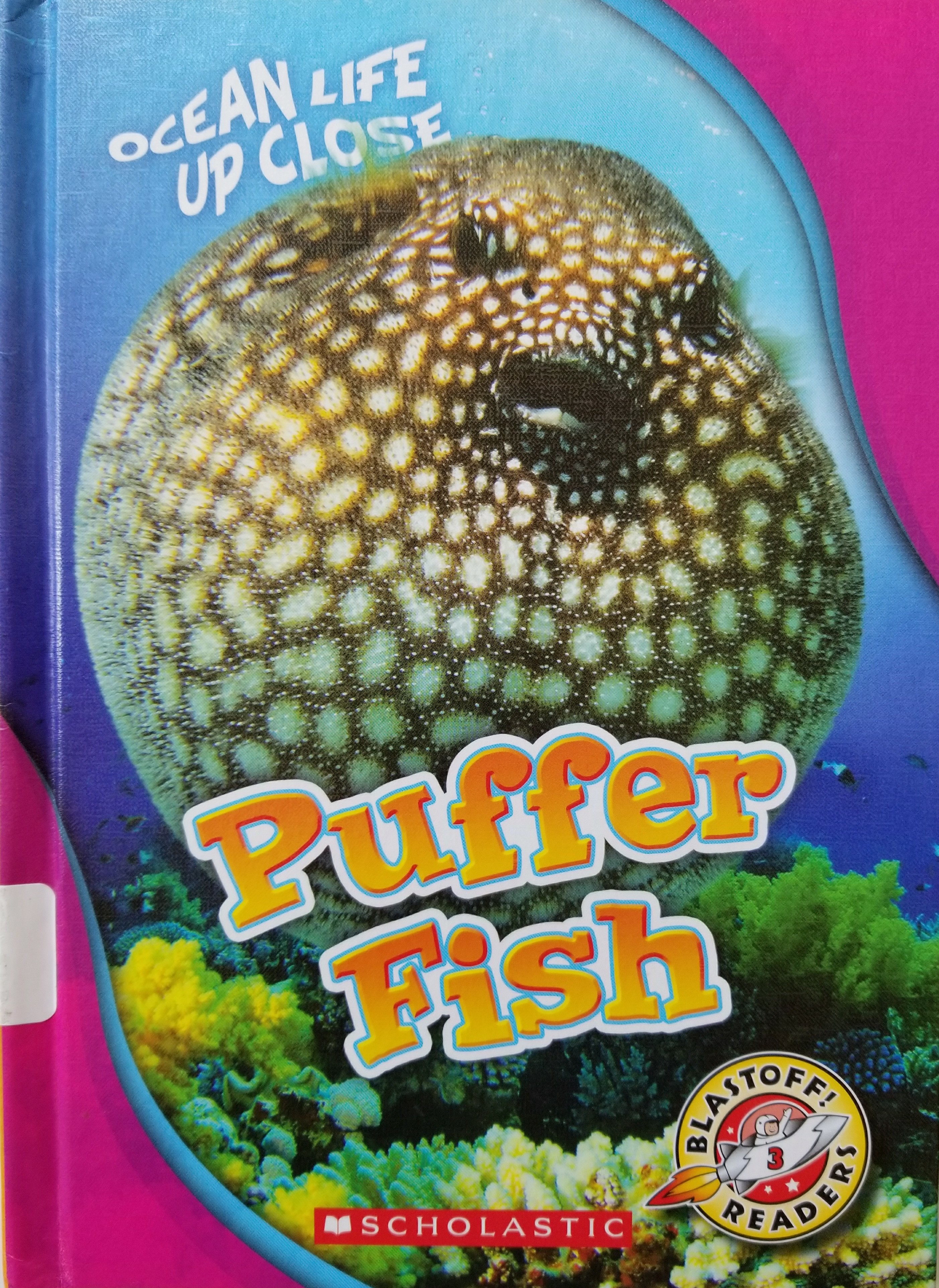 Puffer fish