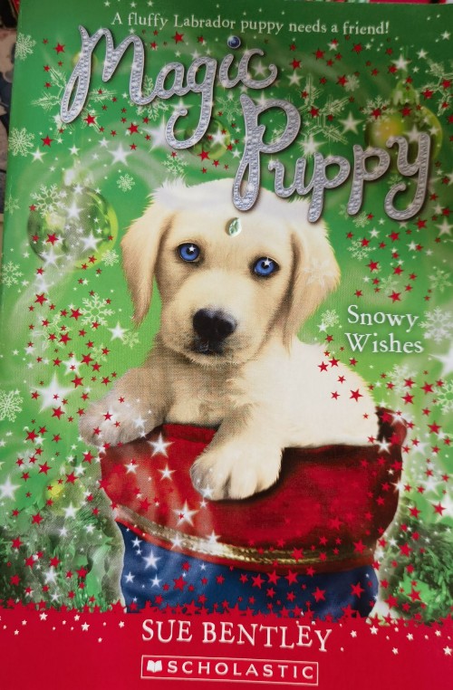 Magic Puppy Snowy Wishes