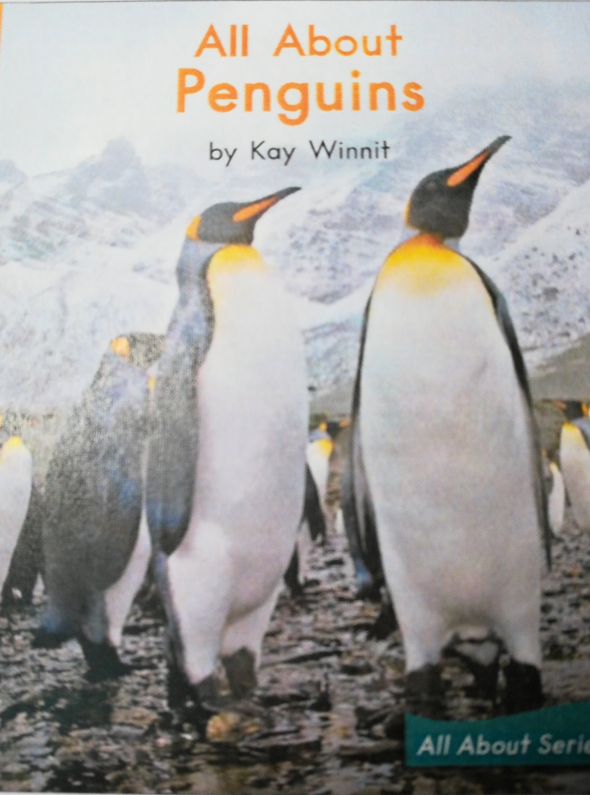 All about penguin