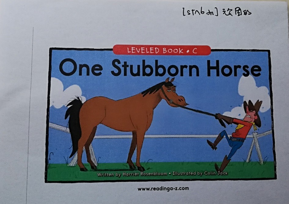 One stubborn horse