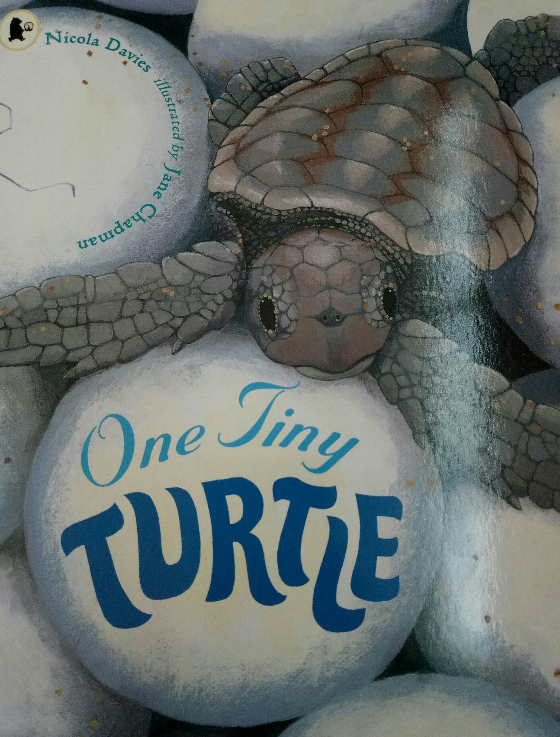 One Tiny Turtle