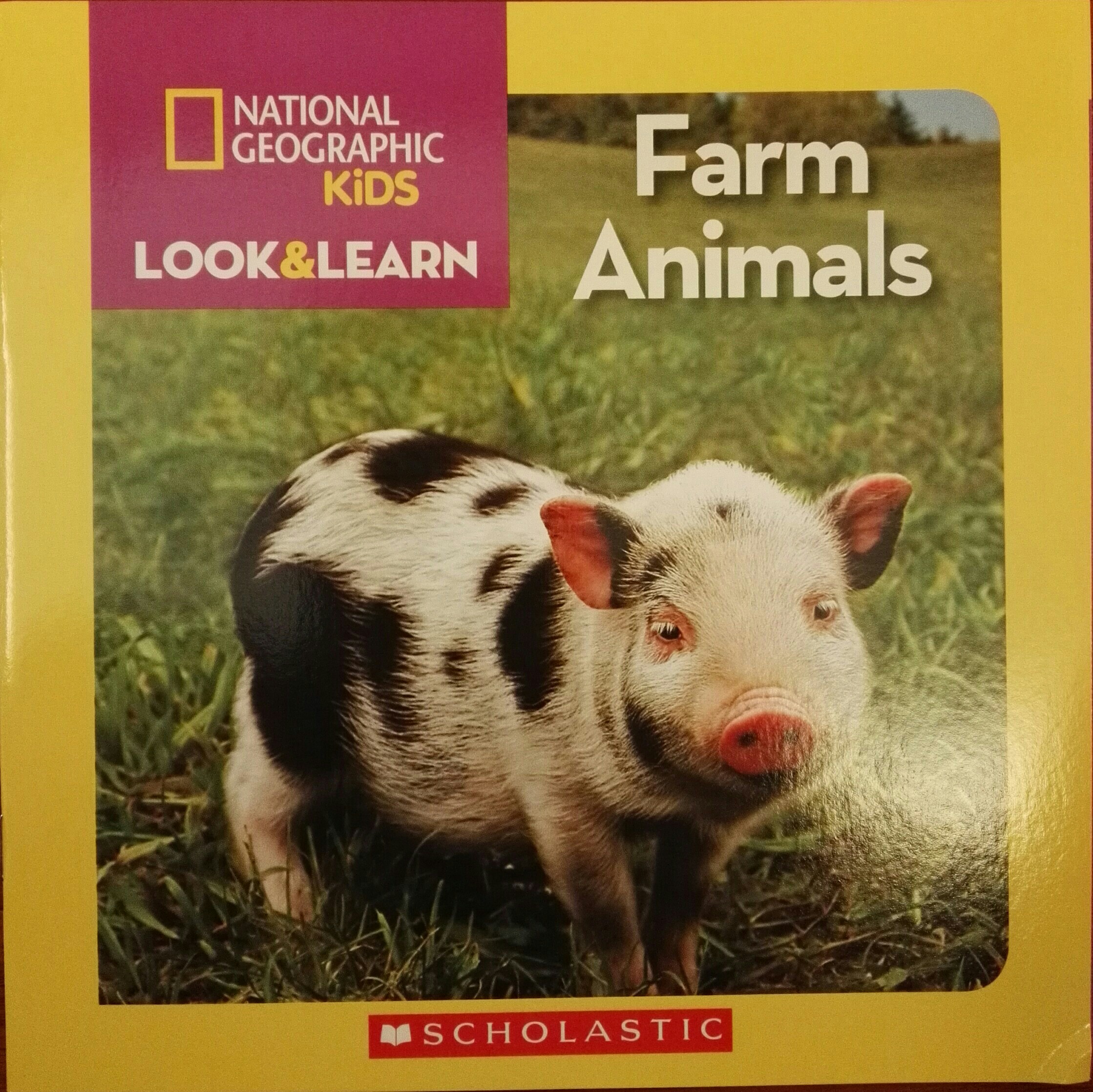 National Geographic Kids Look & Learn: Farm Animals  (Look & Learn)