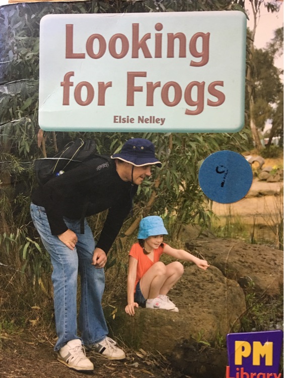 Looking for frogs