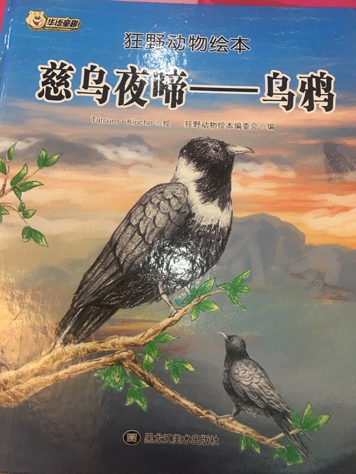 慈鳥夜啼—烏鴉