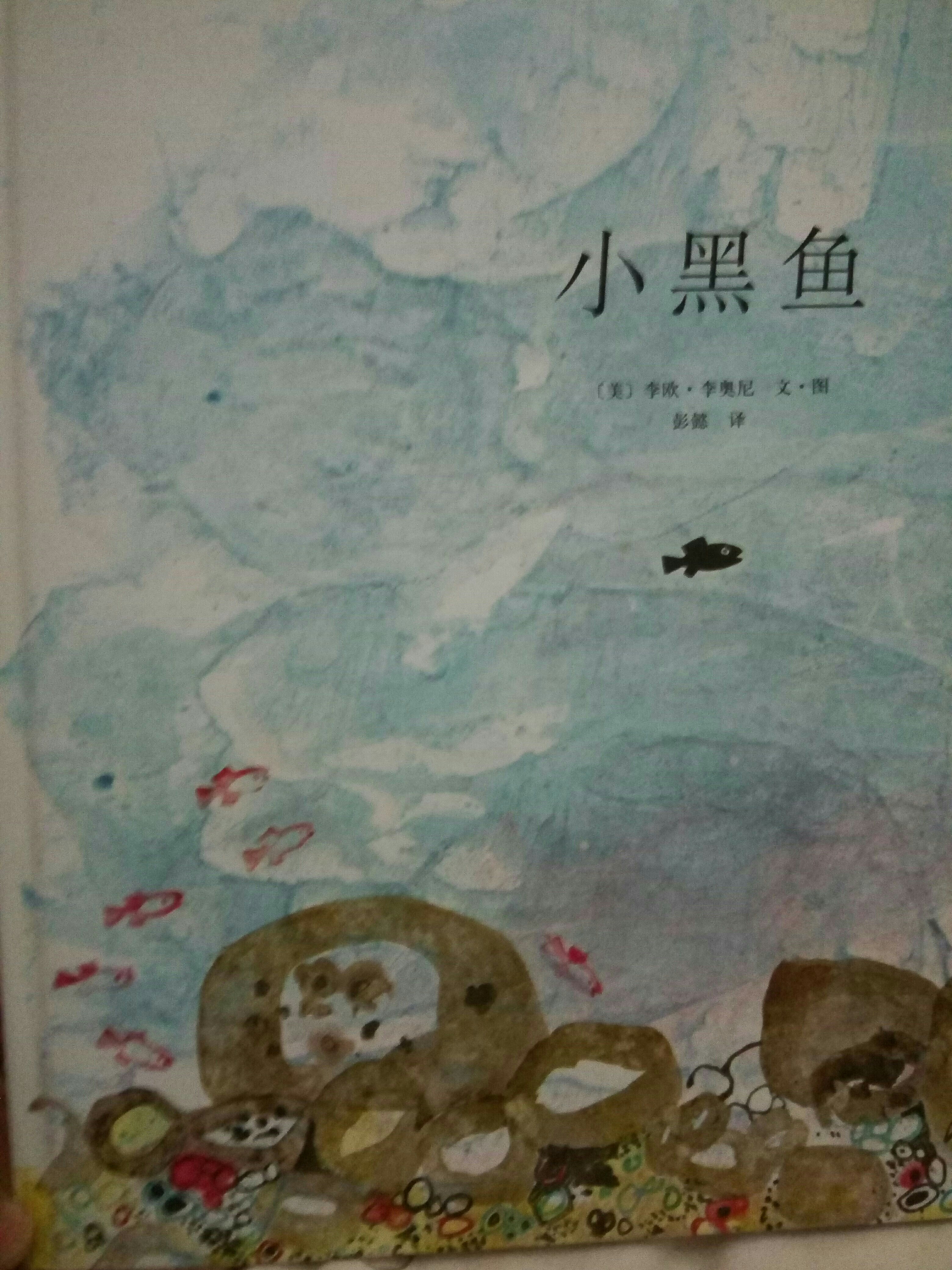 小黑魚(yú)