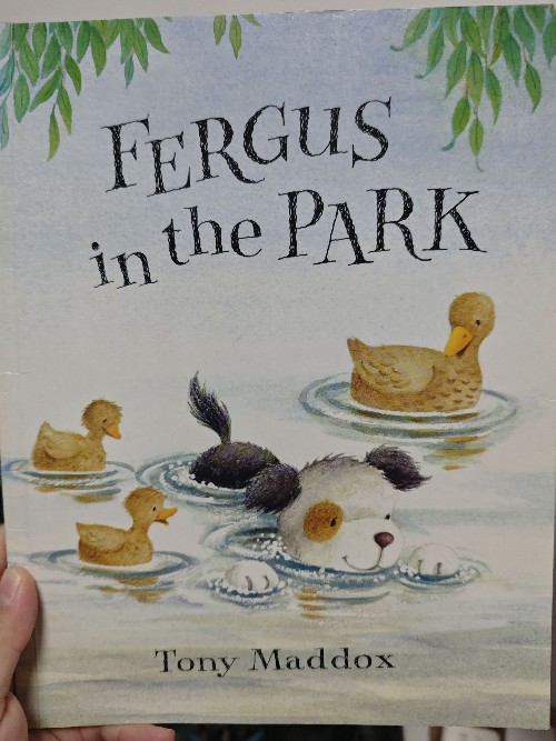 Fergus in the park