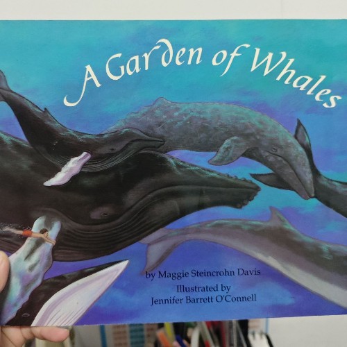 A garden of whales