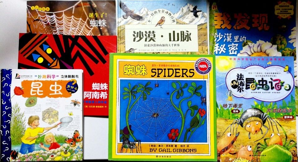 Lapbook1 蜘蛛