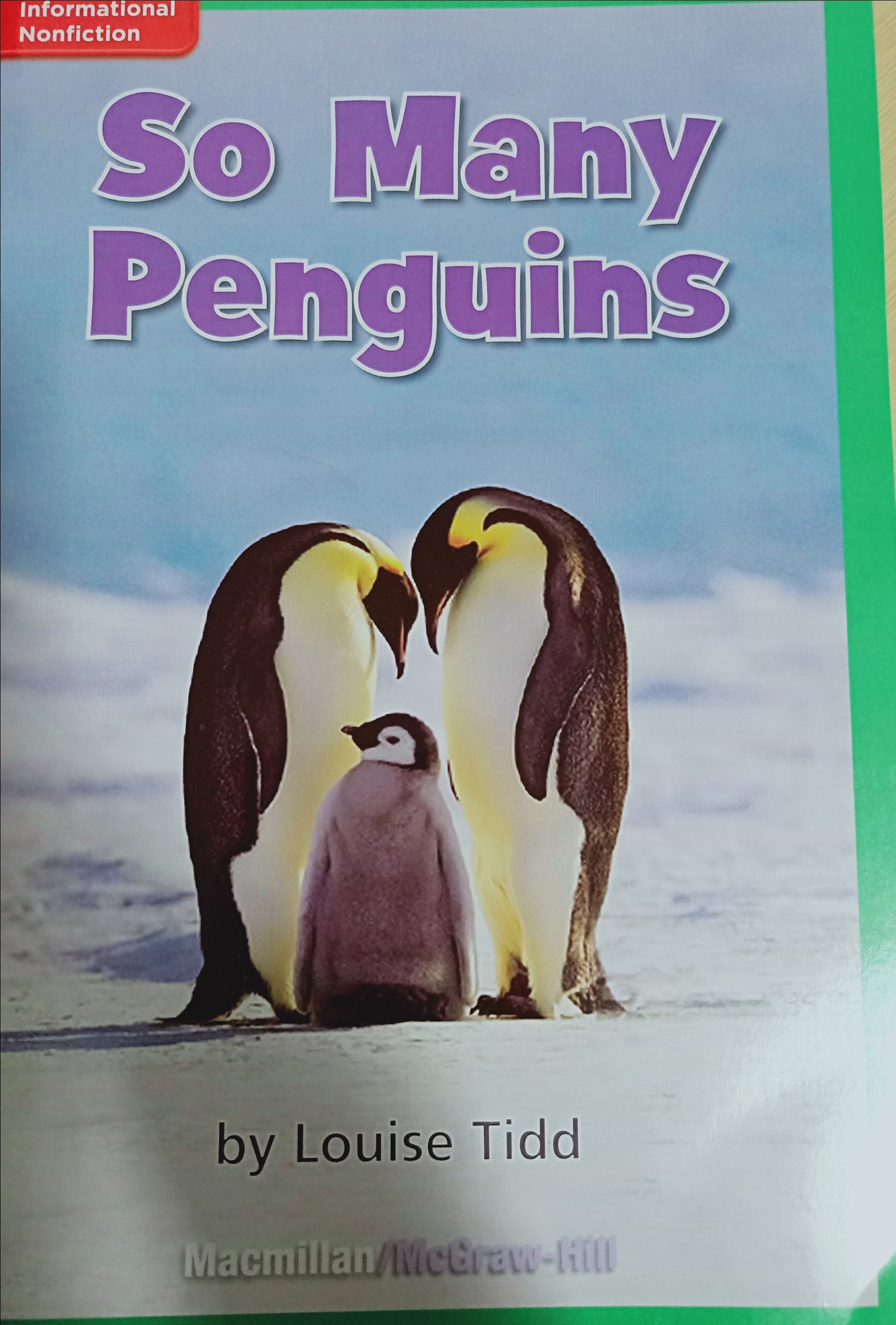 So Many penguins