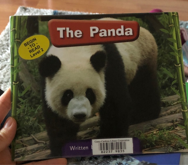 The panda