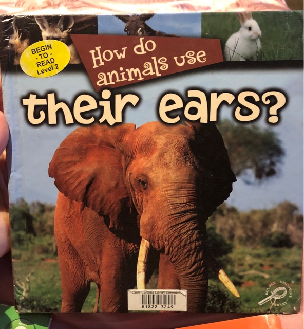 How do animals use their ears?