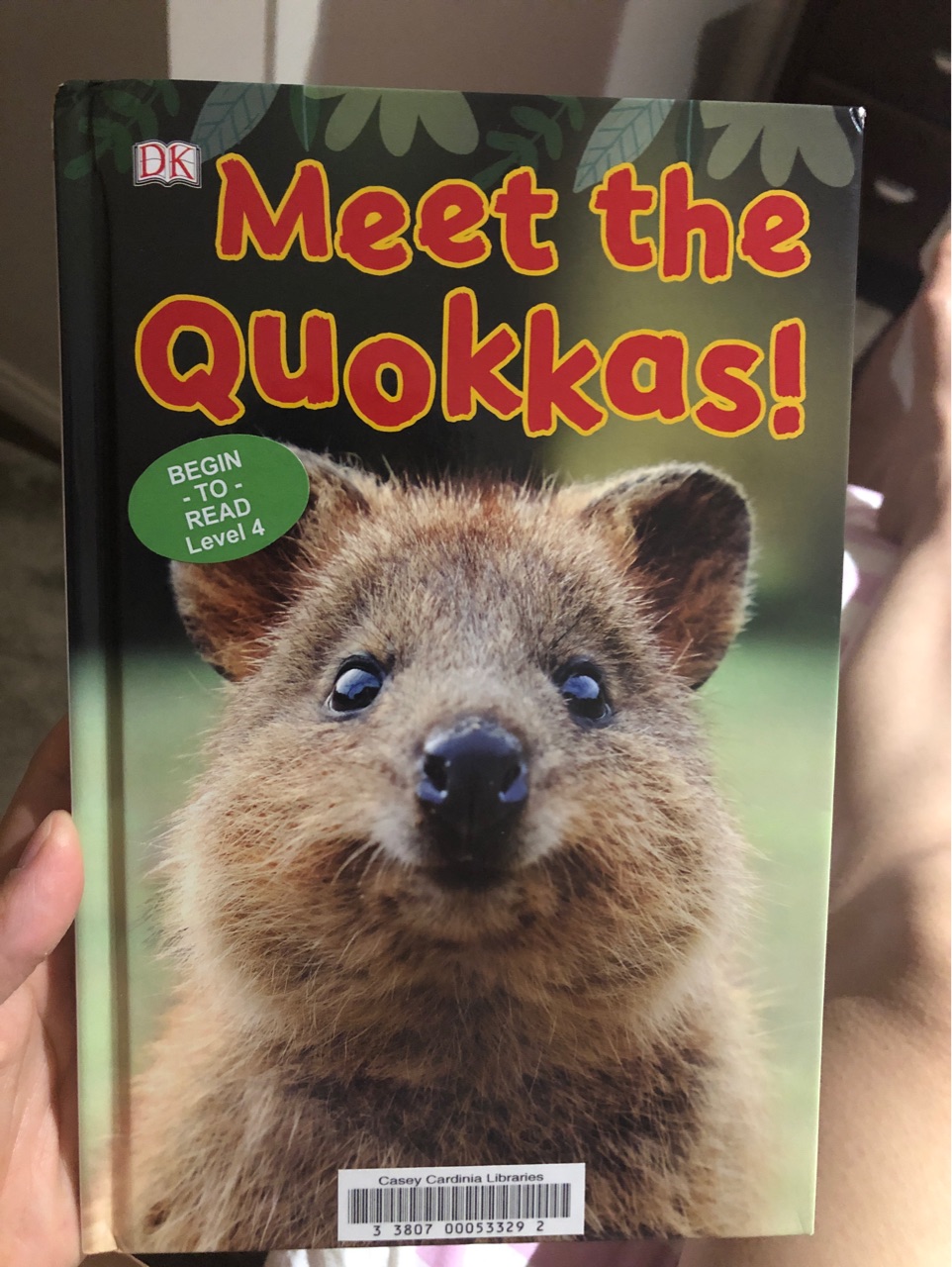 Meet the Quokkas!