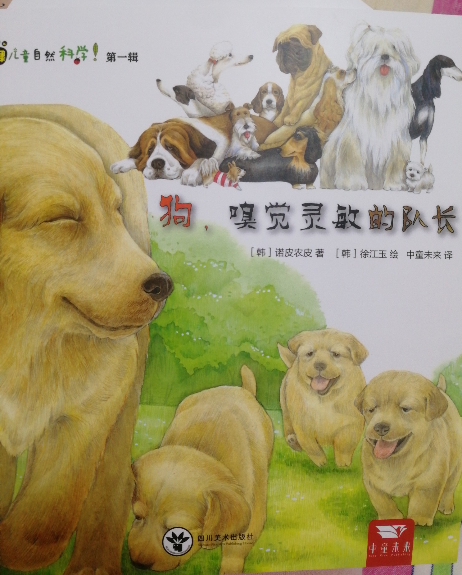 賓果兒童自然科學(xué)第一輯—狗, 嗅覺靈敏的隊(duì)長(zhǎng)
