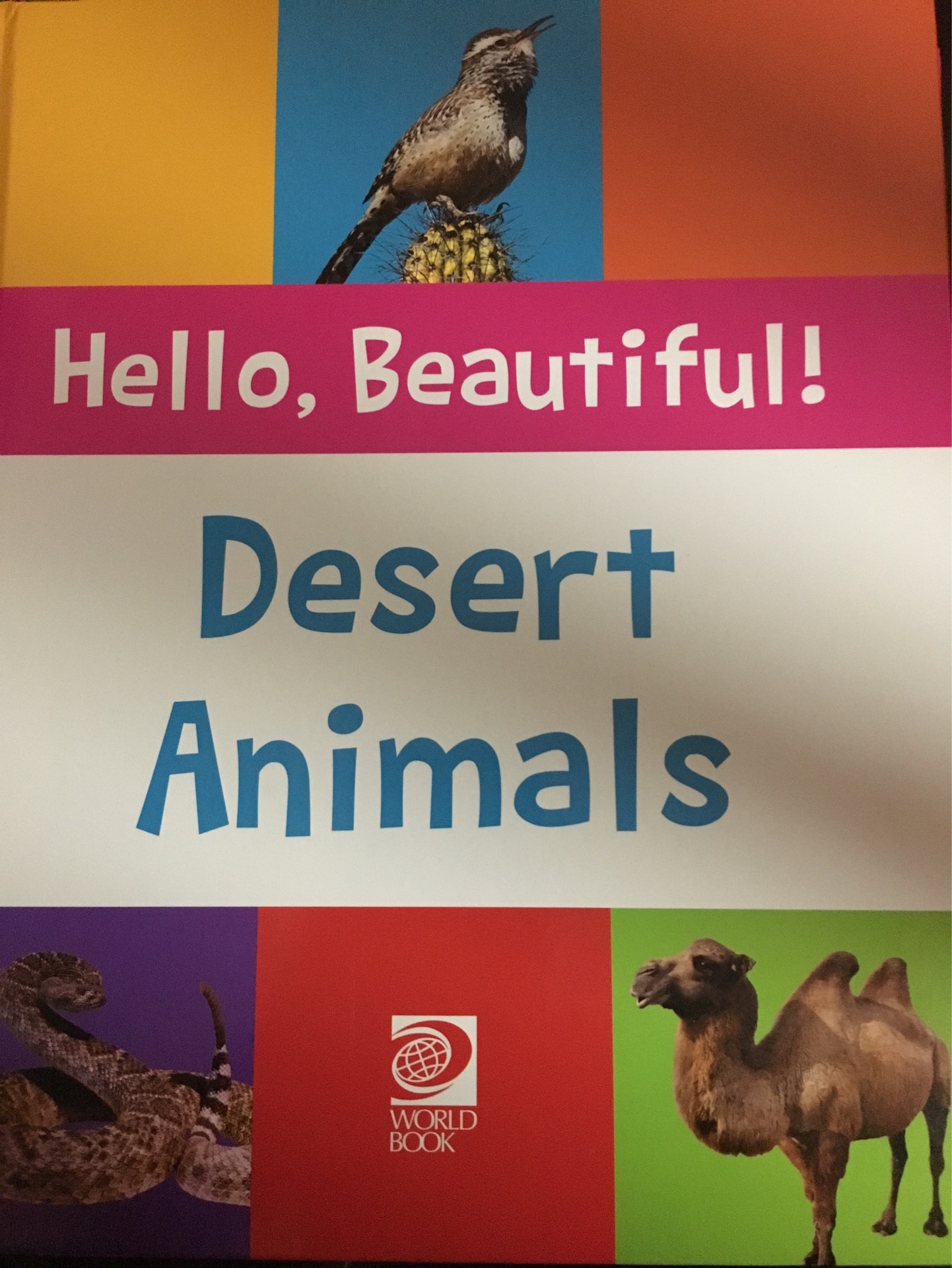 Hello, Beautiful! Desert Animals