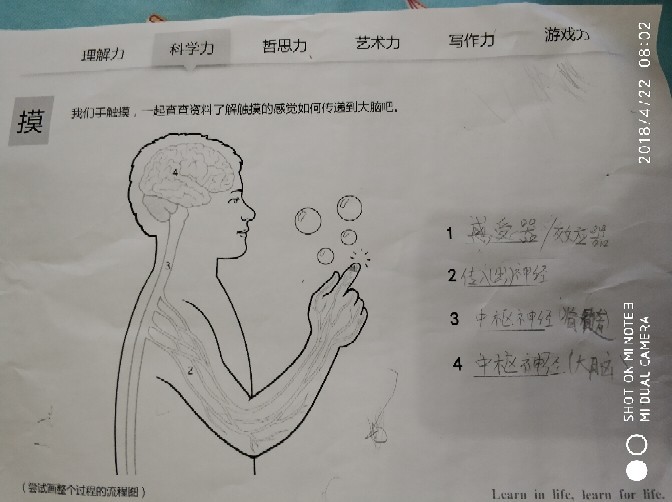 人體第二堂課作業(yè)