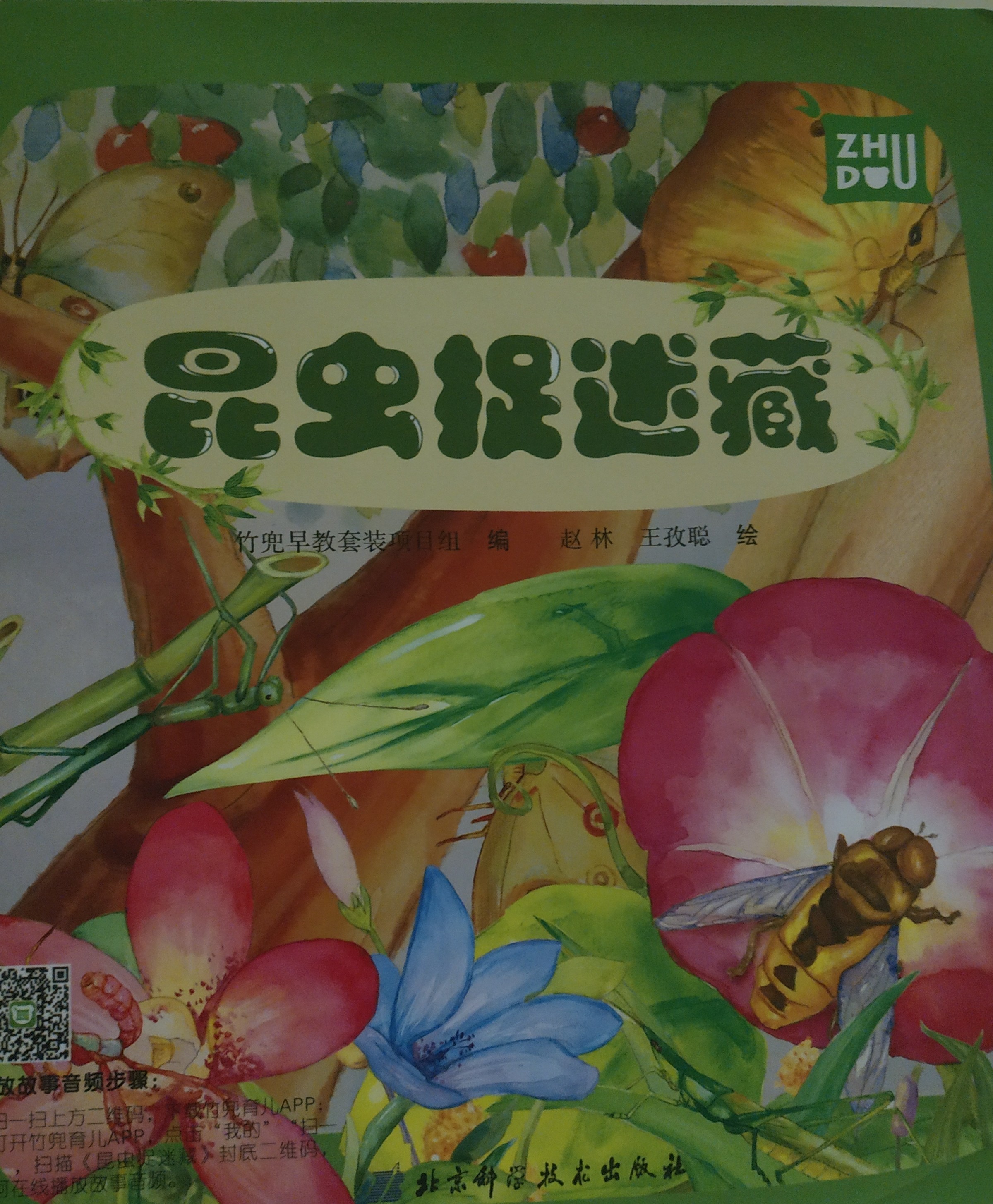 昆蟲捉迷藏