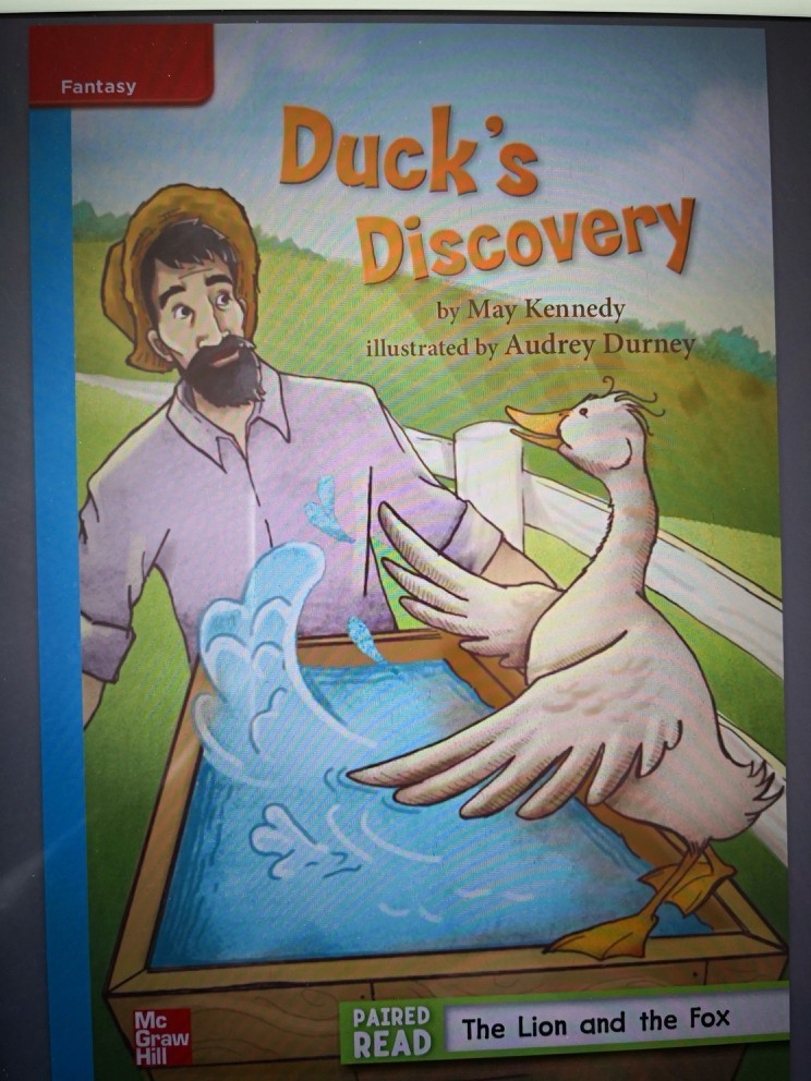 Duck's Discovery