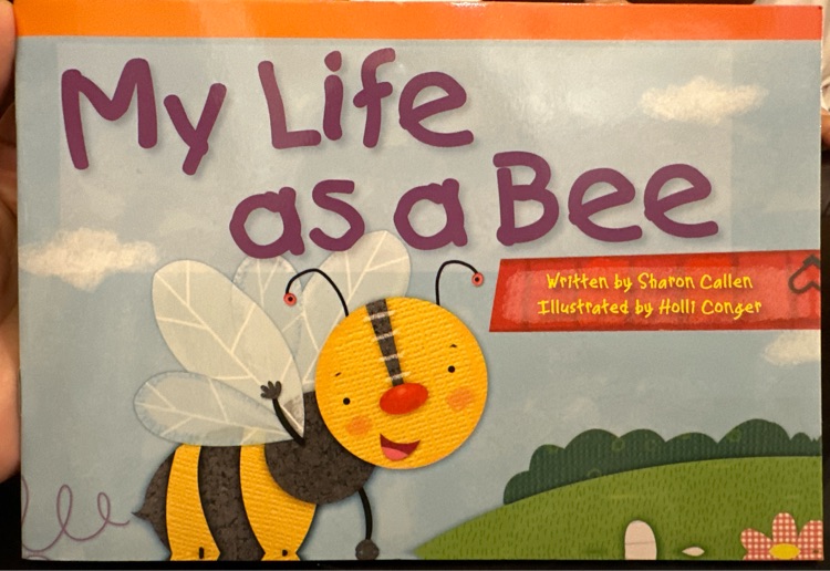 My Life as a Bee