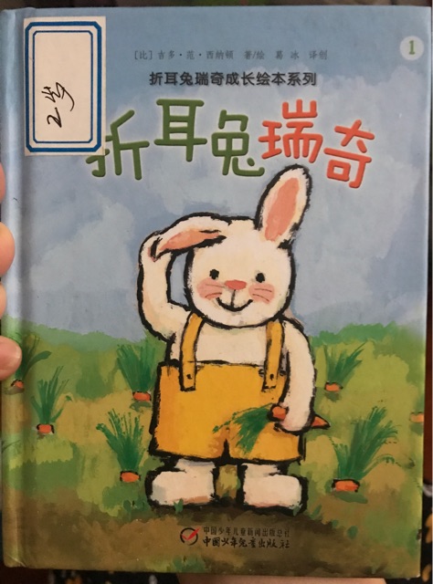 折耳兔瑞奇