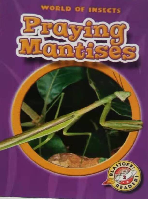 Praying Mantises