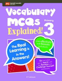 Vocabulary MCQs 3