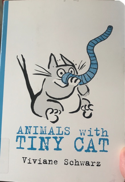 animals with tiny cat