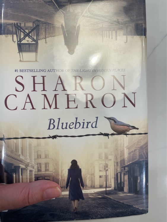 Bluebird