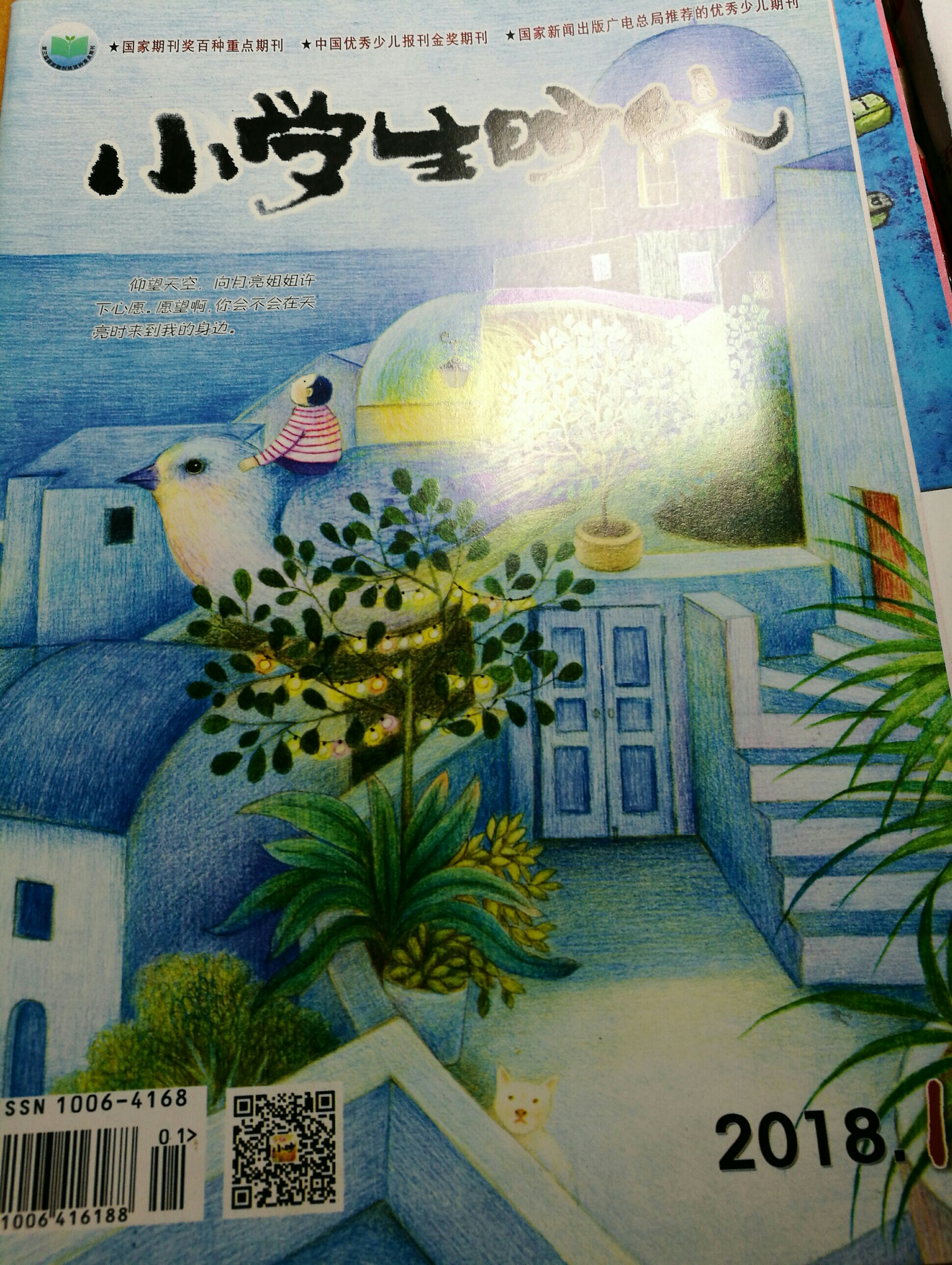 小學(xué)生時代