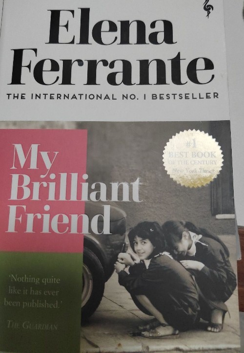my brilliant friend  1