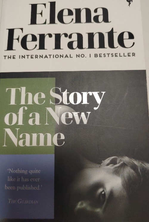 the story of the new nane