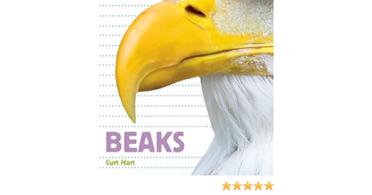 beaks