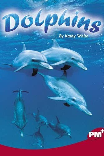 Dolphins