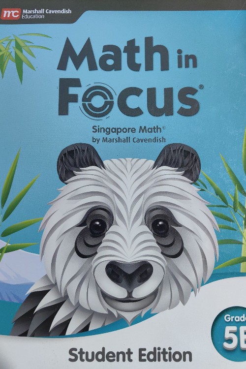 Math in Focus 5B