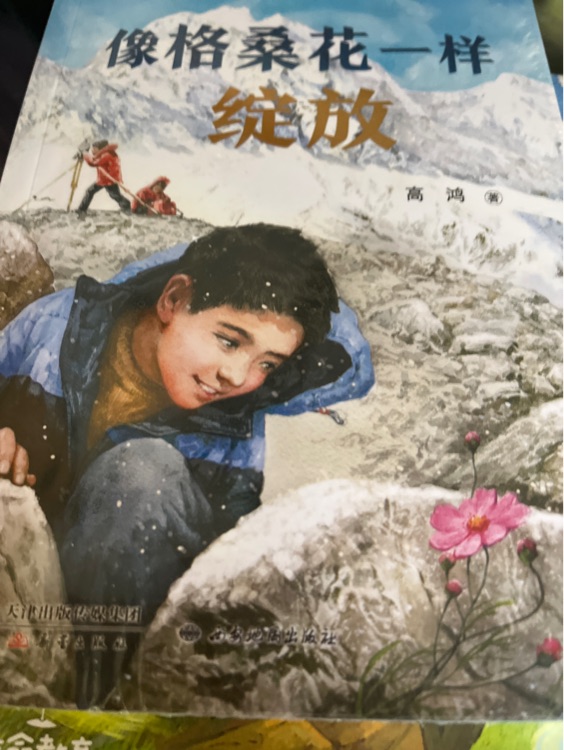 像格桑花一樣綻放