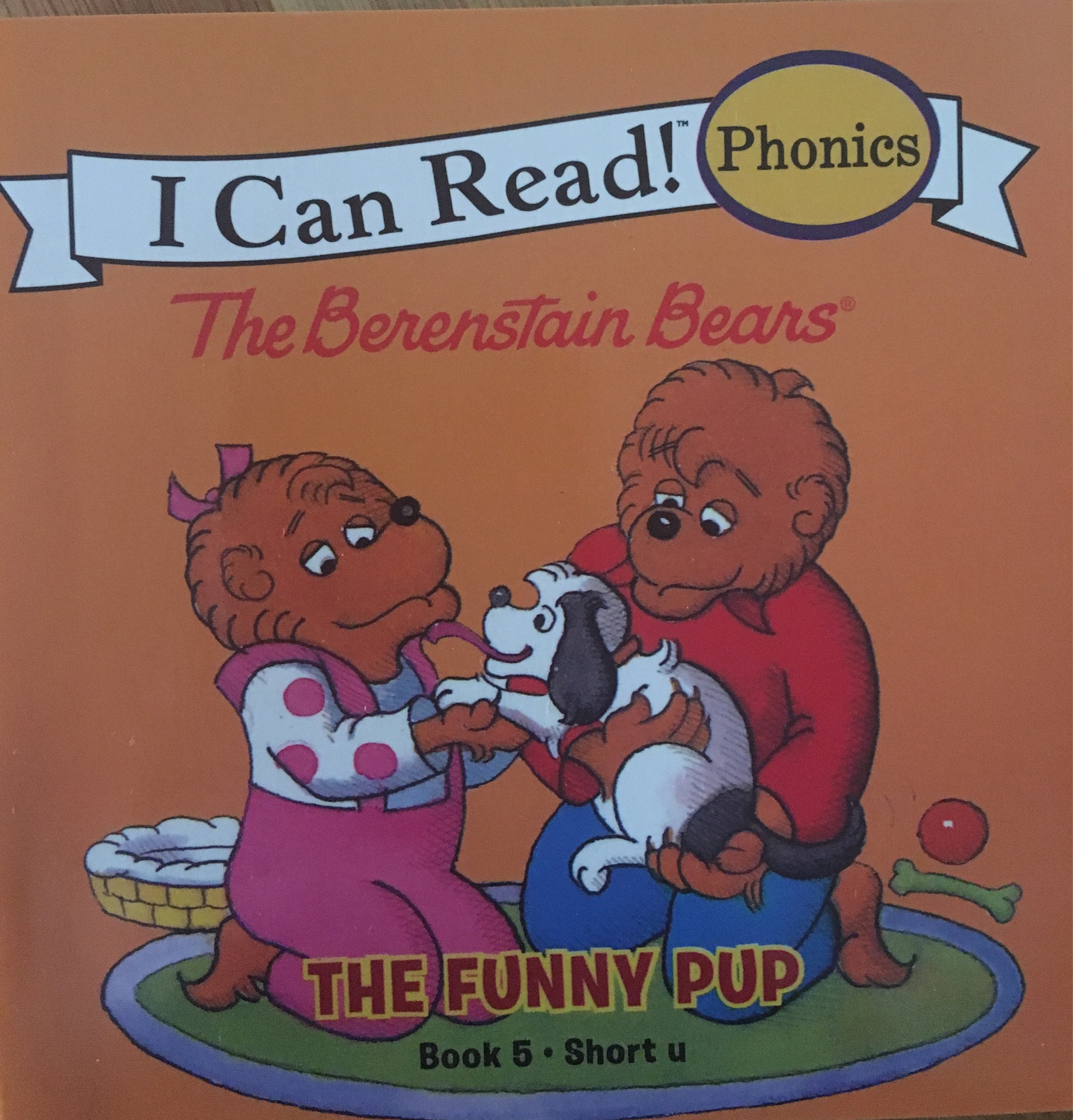 The Berenstain Bears-the funny pup